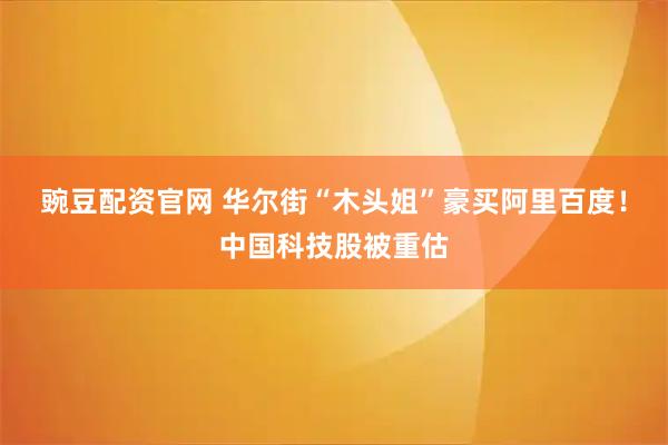 豌豆配资官网 华尔街“木头姐”豪买阿里百度！中国科技股被重估