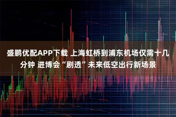盛鹏优配APP下载 上海虹桥到浦东机场仅需十几分钟 进博会“剧透”未来低空出行新场景