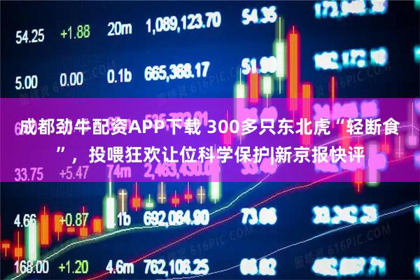 成都劲牛配资APP下载 300多只东北虎“轻断食”，投喂狂欢让位科学保护|新京报快评