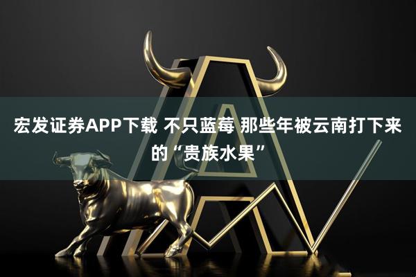 宏发证券APP下载 不只蓝莓 那些年被云南打下来的“贵族水果”