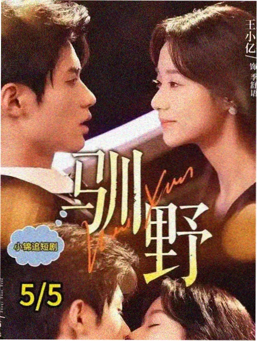 旧城花开 年代剧更新手机版